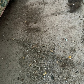 Deep Cleaning Peterhead